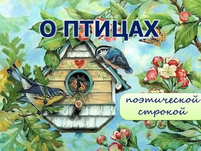 О птицах поэтической строкой