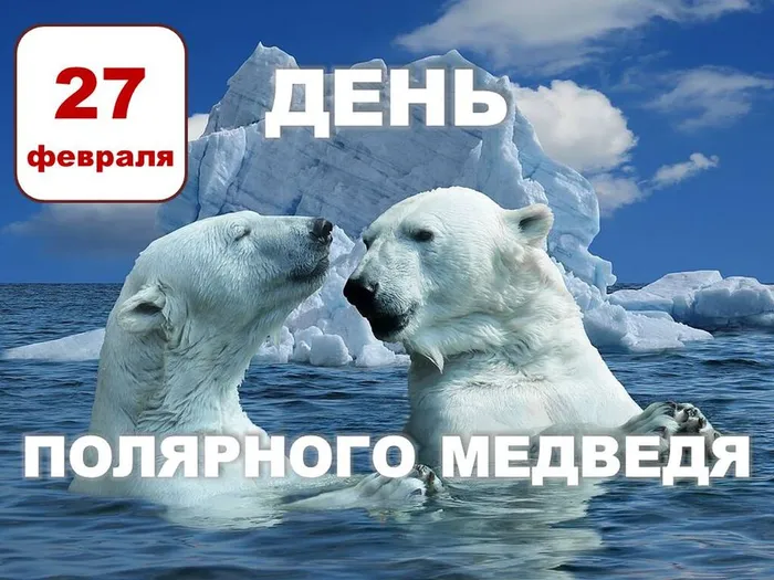 27 февраля - День полярного медведя